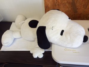 ヌイグルミクリーニングアフター